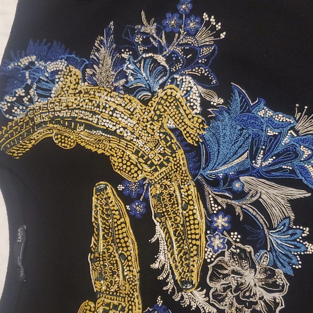 Zara Top - Picture 3 of 4